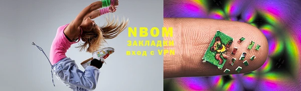 стаф Вязьма