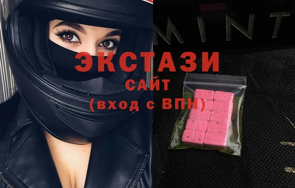 стаф Вязьма