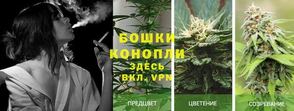 стаф Вязьма