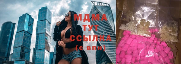 стаф Вязьма