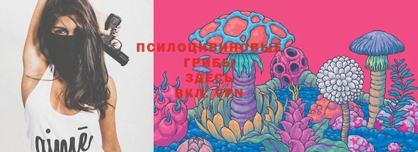 тгк Вязники