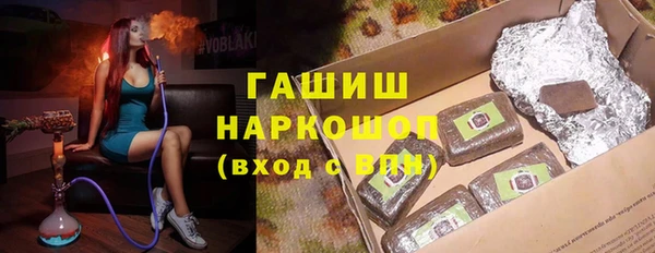 амф Тайга