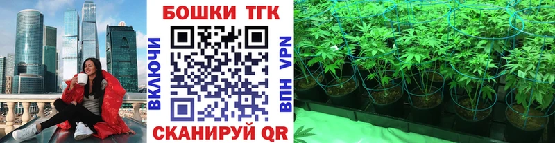 Бошки Шишки планчик  Дзержинский 